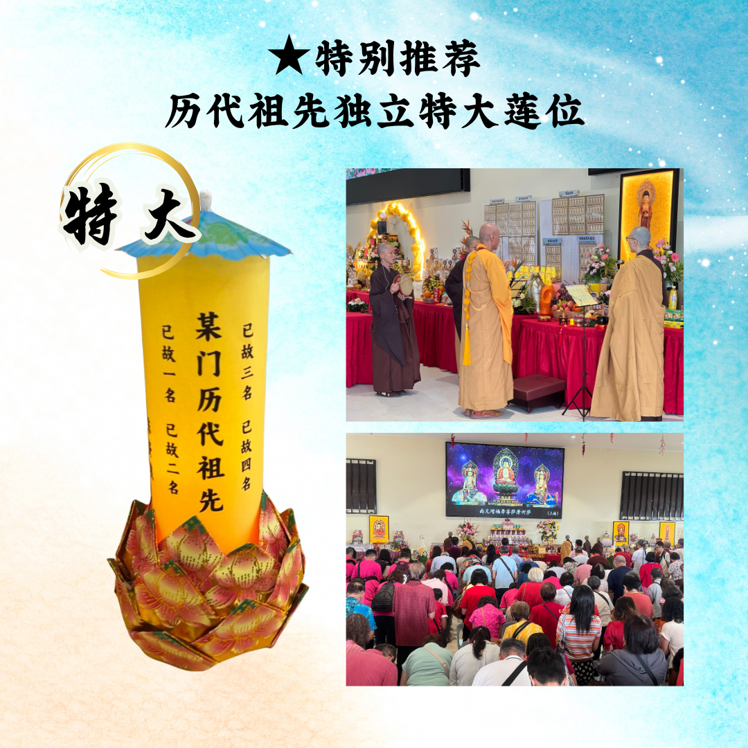 YLP28 ★ 特别推荐:历代祖先独立特大莲位(1历代祖先4名已故)