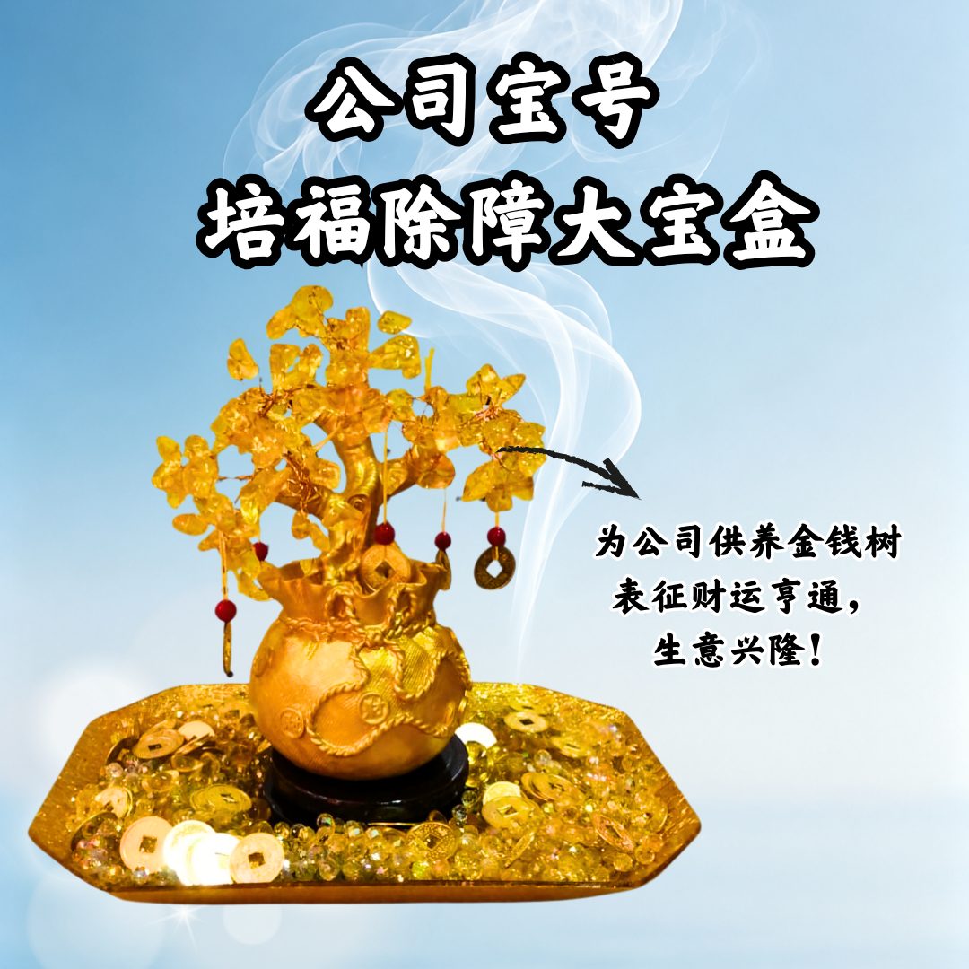 YLP104-公司宝号 培福除障大宝盒