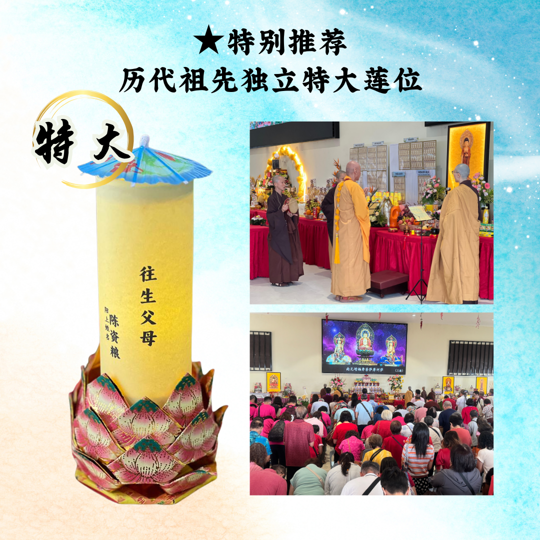 YLP27★特别推荐:往生父母独立特大莲位(已故1名)