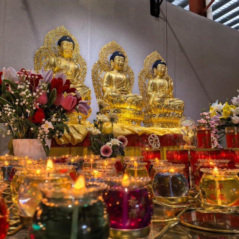 常年项目系列