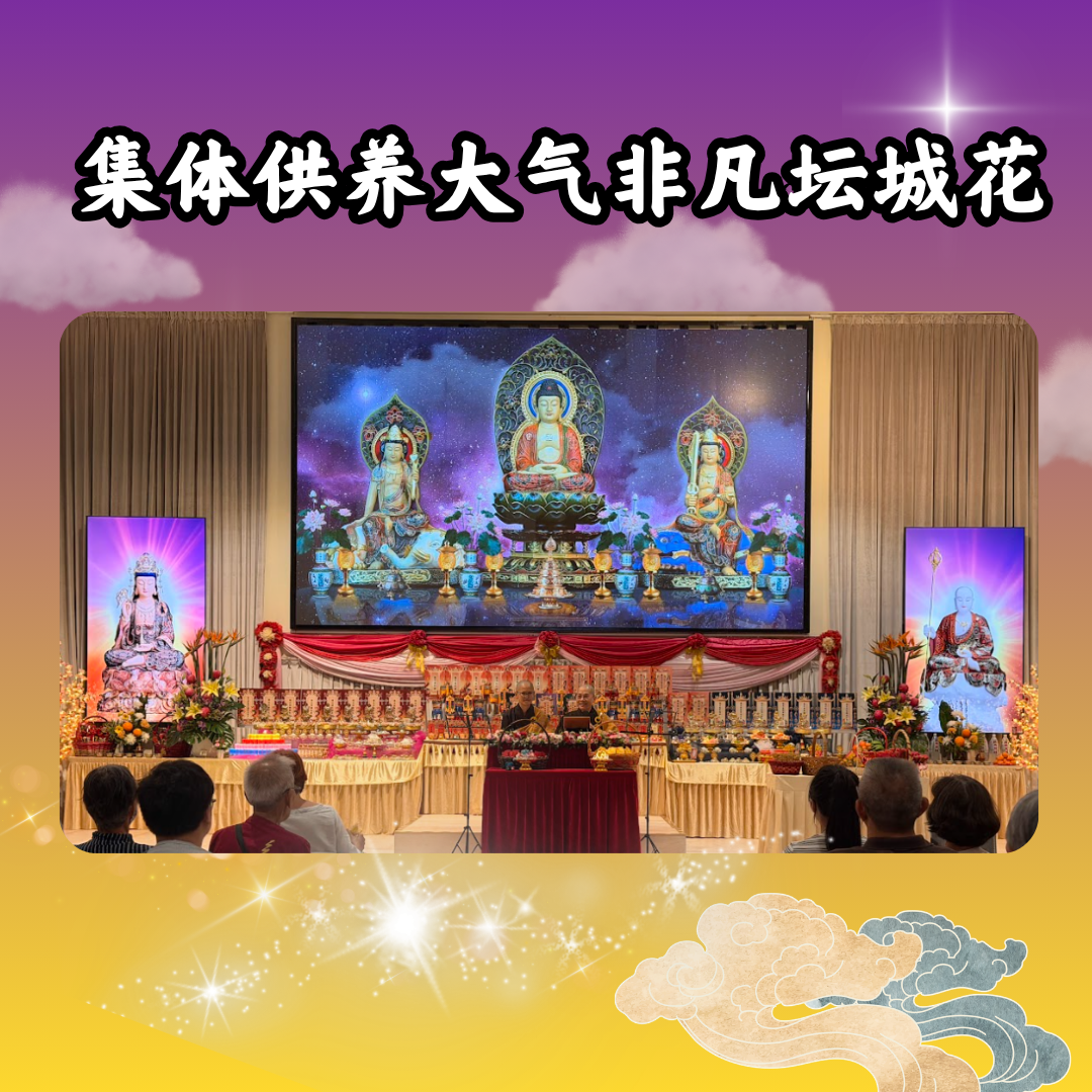 V307-集体供养大气非凡坛城花