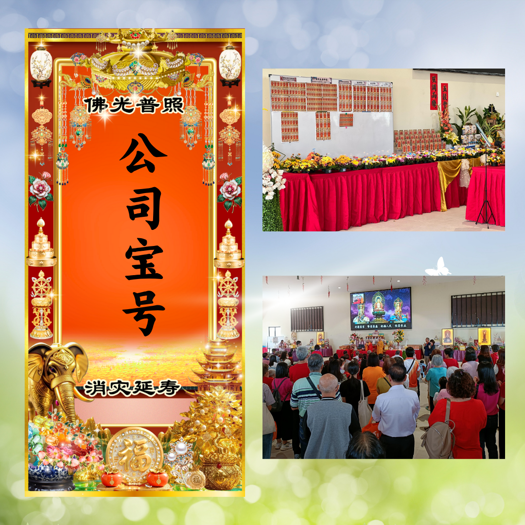 YLP14-公司宝号 培福除障大宝盒