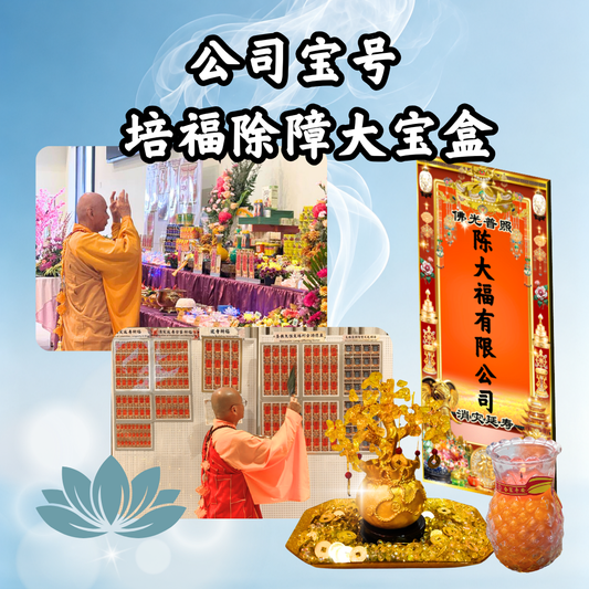 YLP104-公司宝号 培福除障大宝盒