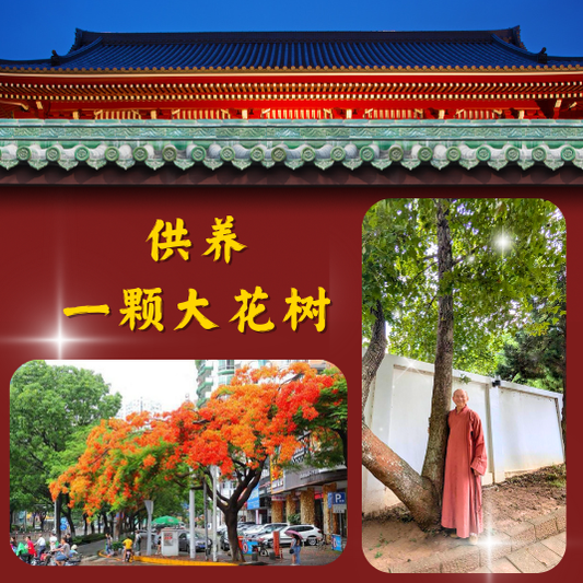 JS14 供养一棵大花树